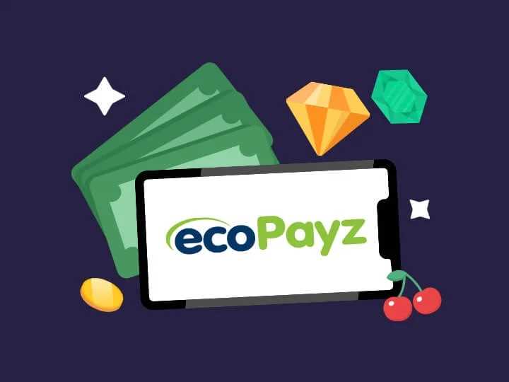 Ecopayzとは何ですか？