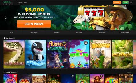 Web slot casino online